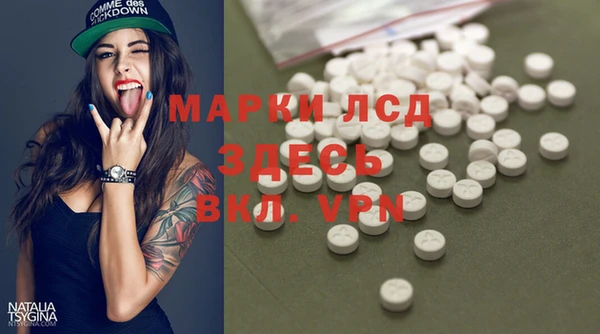 стафф Алексин
