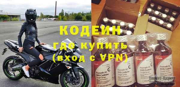 индика Абинск