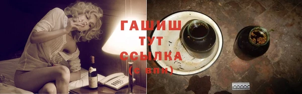 индика Абинск