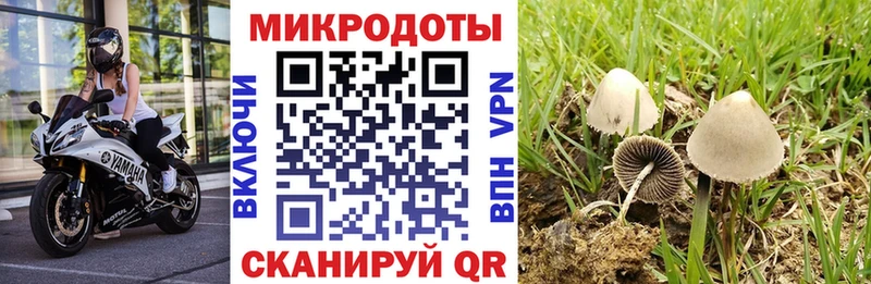 Галлюциногенные грибы Cubensis купить закладку Барнаул